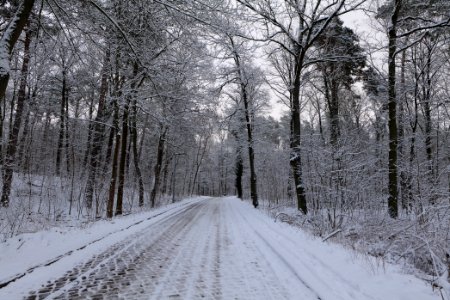 Next to Griebnitzkanal with snow 2021-01-30 21