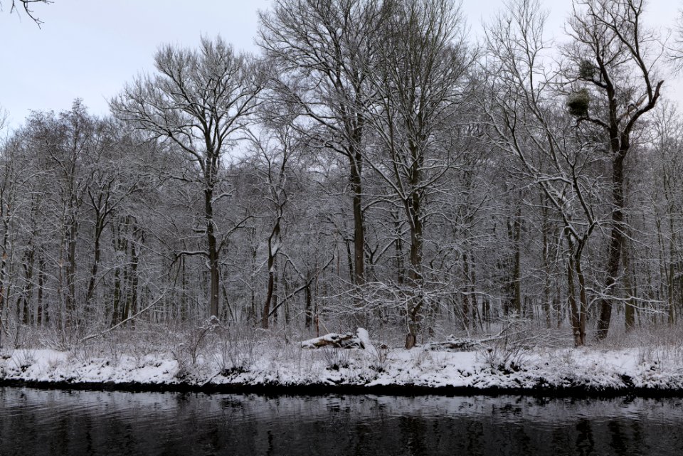 Next to Griebnitzkanal with snow 2021-01-30 09