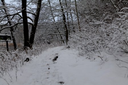 Next to Griebnitzkanal with snow 2021-01-30 04