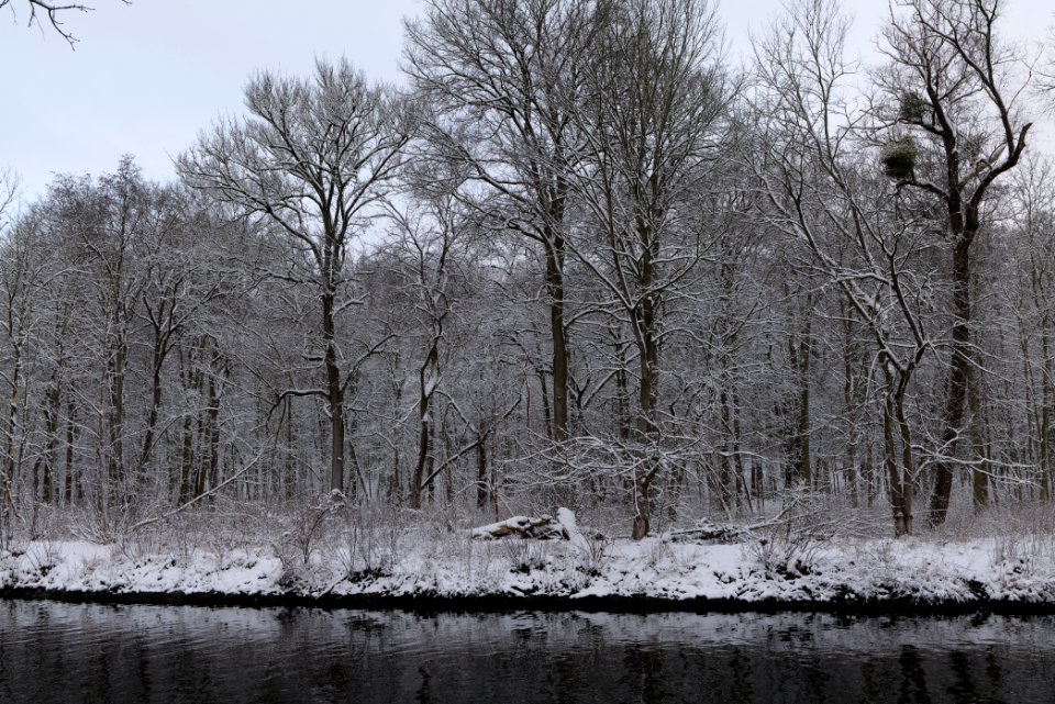 Next to Griebnitzkanal with snow 2021-01-30 08