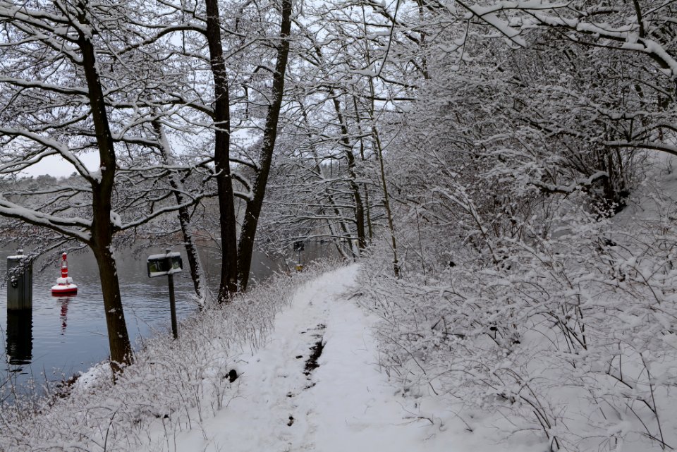 Next to Griebnitzkanal with snow 2021-01-30 01