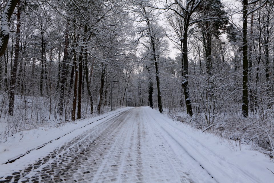 Next to Griebnitzkanal with snow 2021-01-30 19