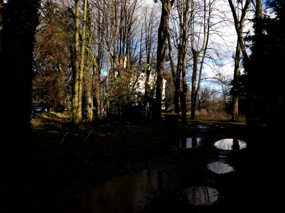 Neyron - Chemin de Sermenaz, allée du château de Sermenaz