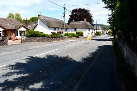 Newton Poppleford (2021-06-05) 01