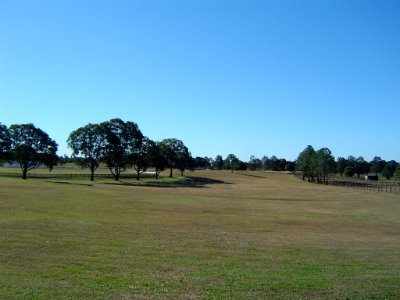 Newstead Park Buccan