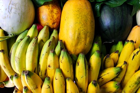 Food healthy organic