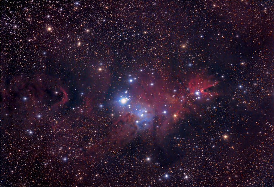 NGC 2264 Christmas Tree Nebula