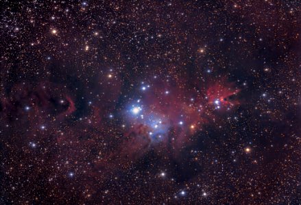 NGC 2264 Christmas Tree Nebula