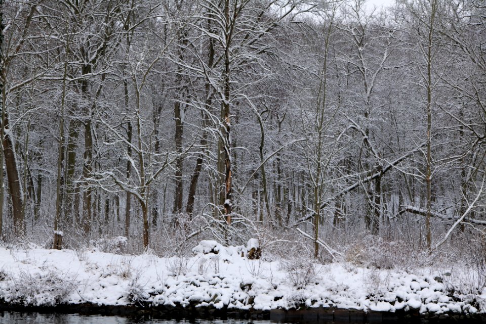 Next to Griebnitzkanal with snow 2021-01-30 07