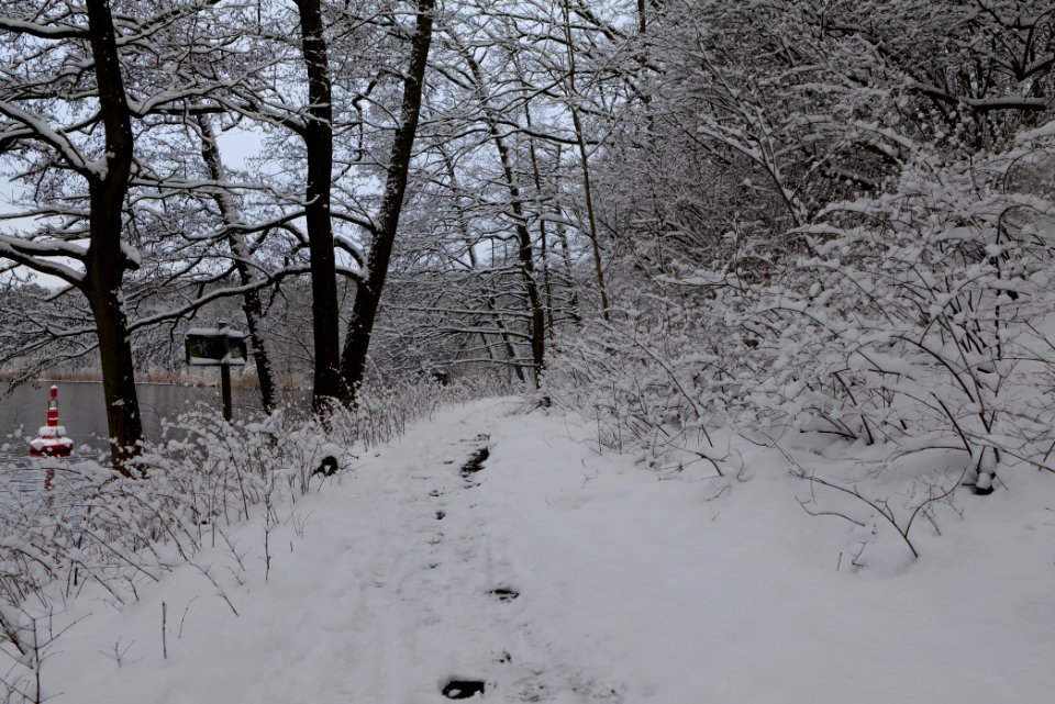 Next to Griebnitzkanal with snow 2021-01-30 03