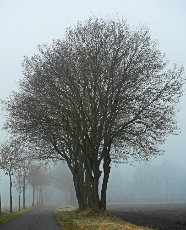 Ffh parklandschaft münsterland