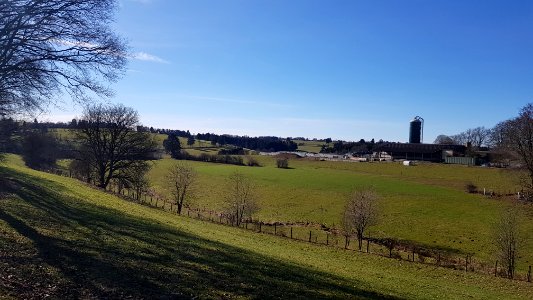 Nidrum-Mausheck-Kolberg (1)