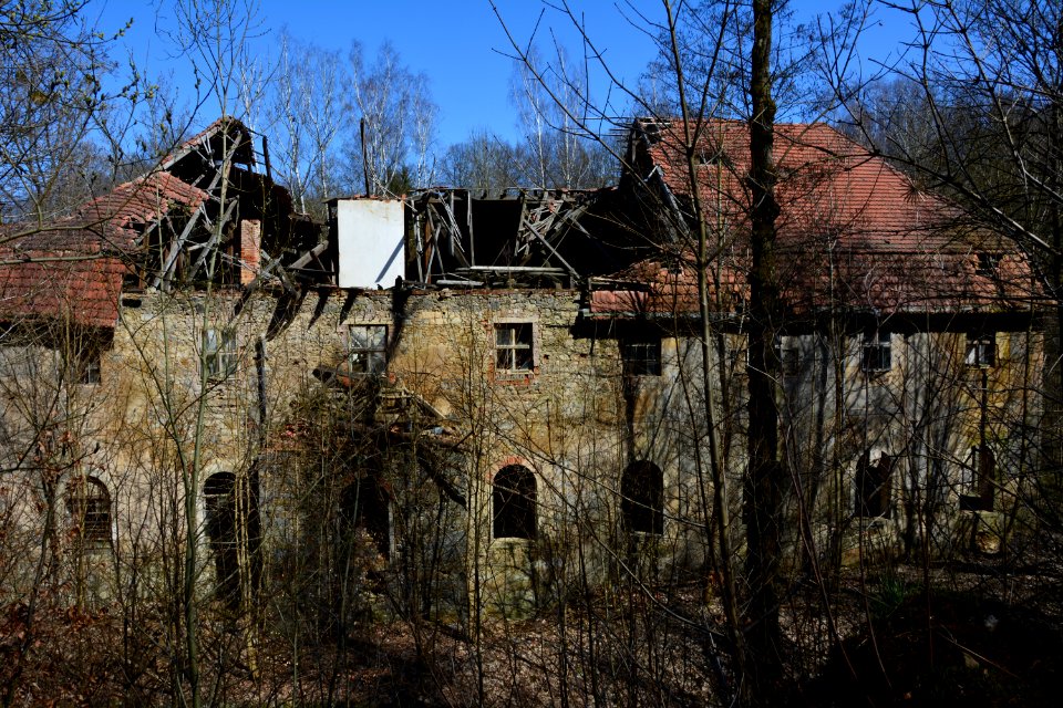 Niedermühle SO-Teil Seifersdorfer Tal