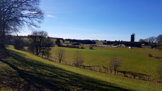 Nidrum-Mausheck-Kolberg (2)