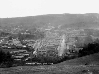 Newtown from Bryn bank (1294329)