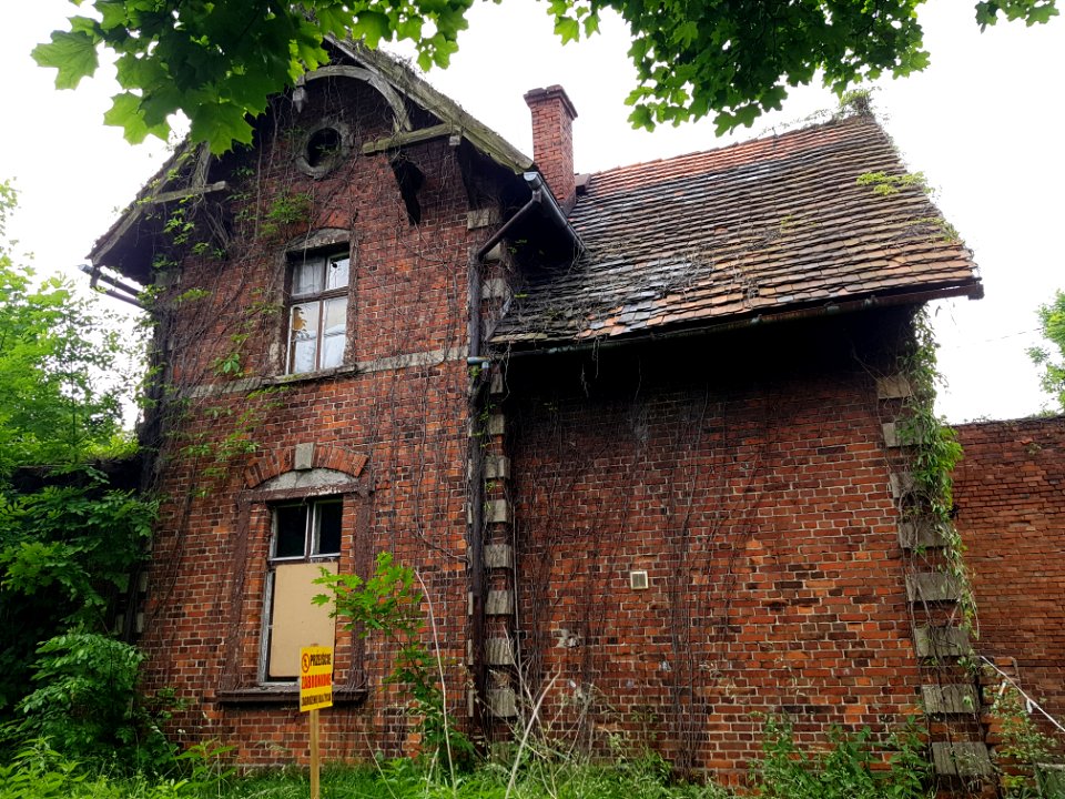 Nieborowice Wąskotorowe (6)