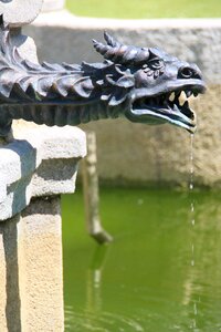 Water symbol animal