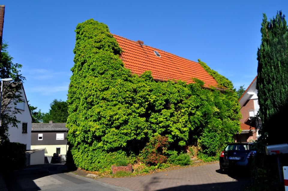 Niederhöchstadt, Nikolausengasse 4