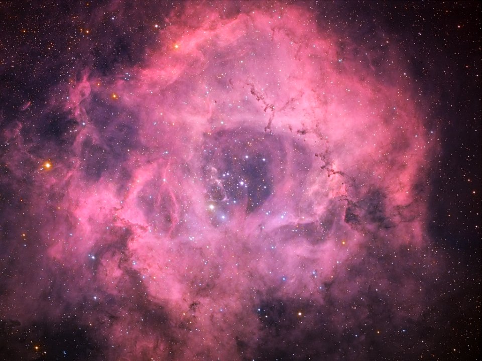 NGC 2237 The Rose or the Skull?