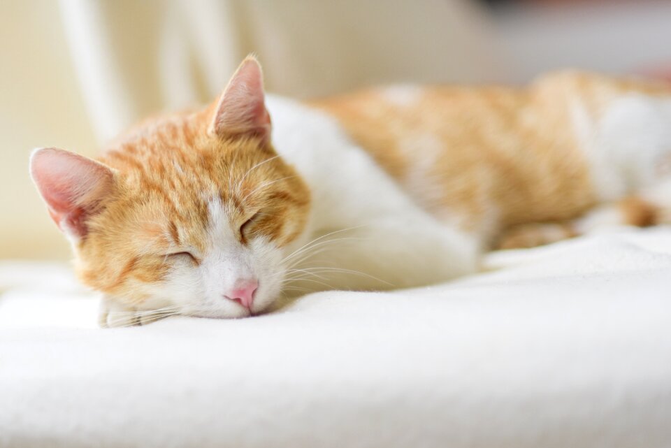 Sleep relax feel good