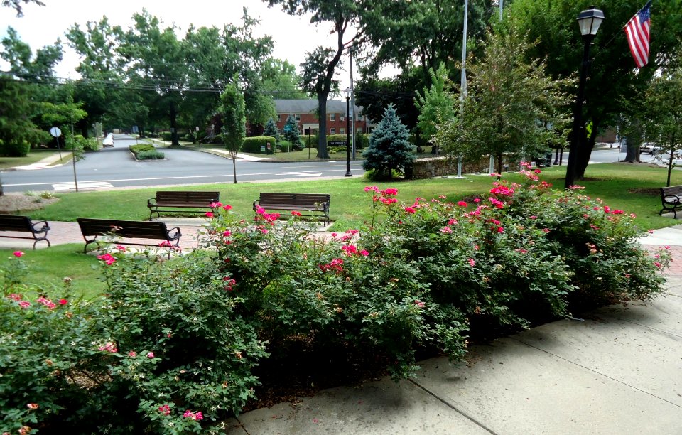 New Providence NJ public park with flowers and Springfield Avenue