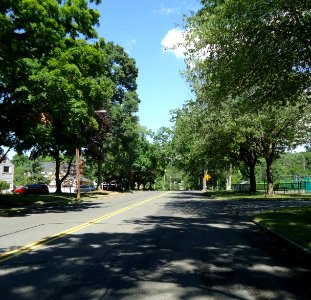 New Providence NJ leafy street with playfield on right