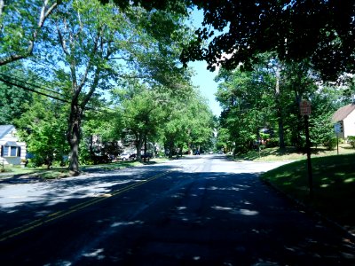 New Providence NJ leafy street on a summer day photo