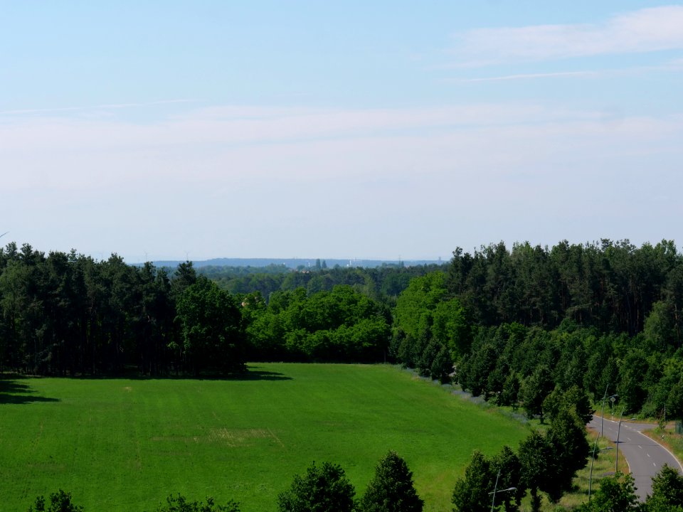 New Haidemühl from observation tower 2019-06-06 16