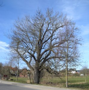 Niederntudorf-Esche an der Almebrücke