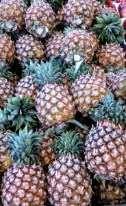 Nice Pineapples photo