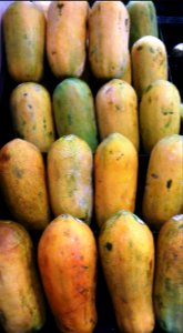 Nice papayas photo