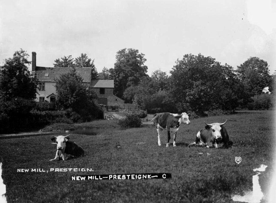 New Mill Presteigne (1293912)
