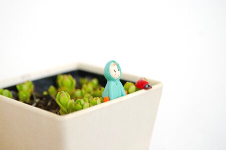 Plant life cartoon