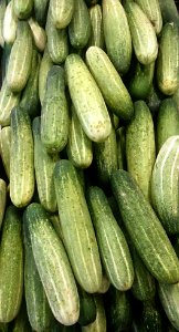 Nice cucumber photo