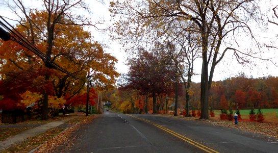 New Providence NJ street in early autumn with field