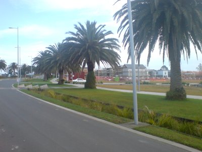 New Hobsonville Point Suburb Rising