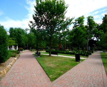 New Providence NJ public park with diverging walkways