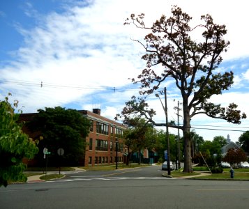 New Providence NJ view of municipal building and streets