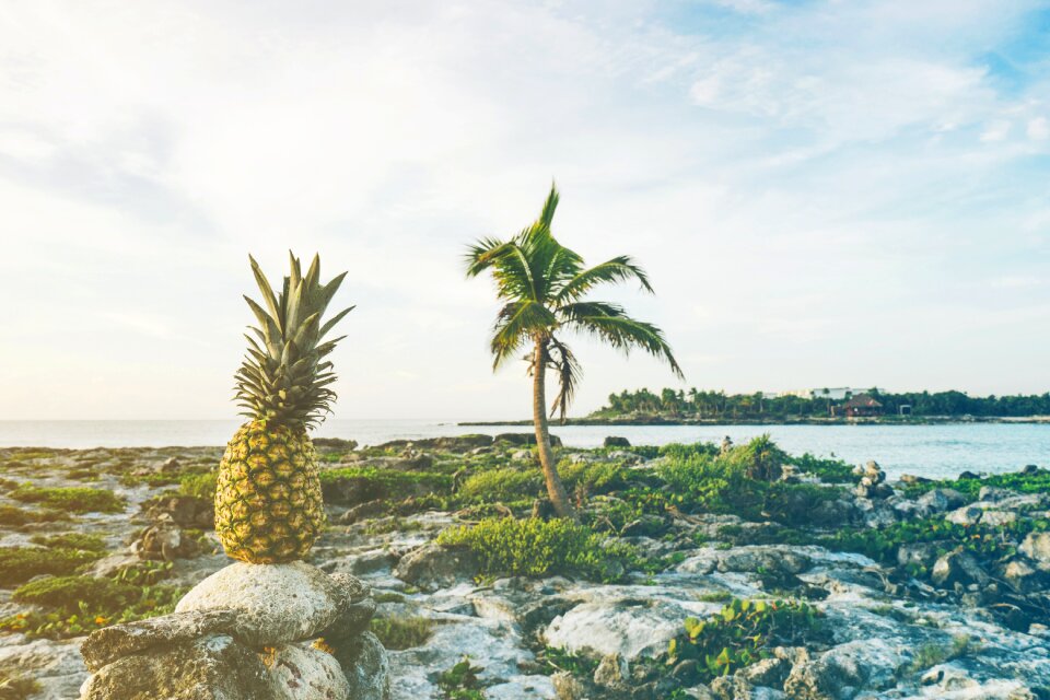 Island ocean outdoors