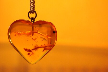Necklace orange jewelry