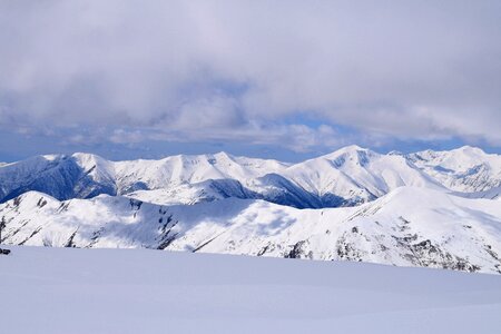 Winter nature ski photo