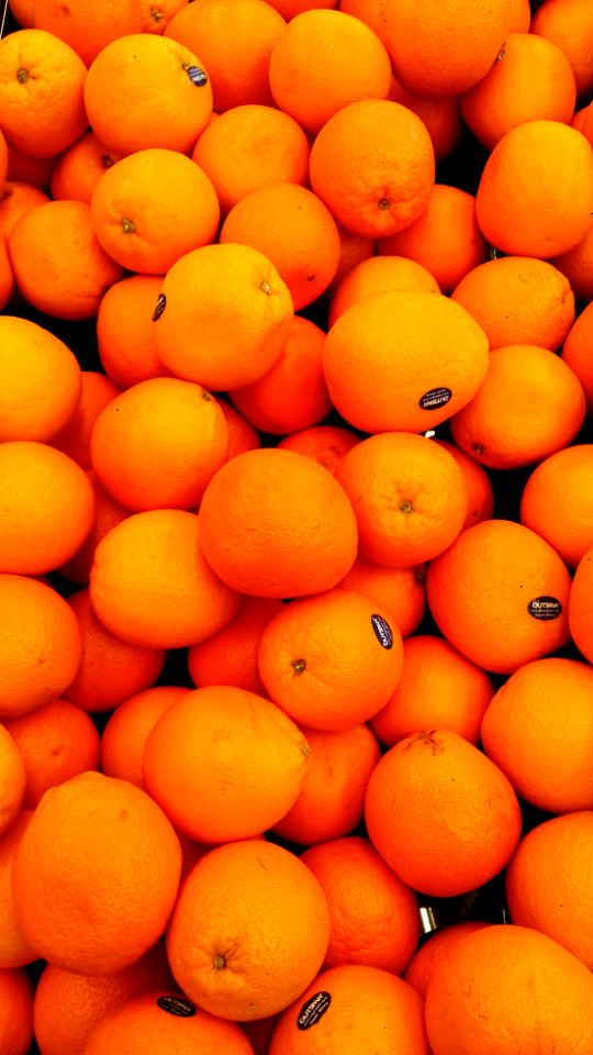 Nice Oranges