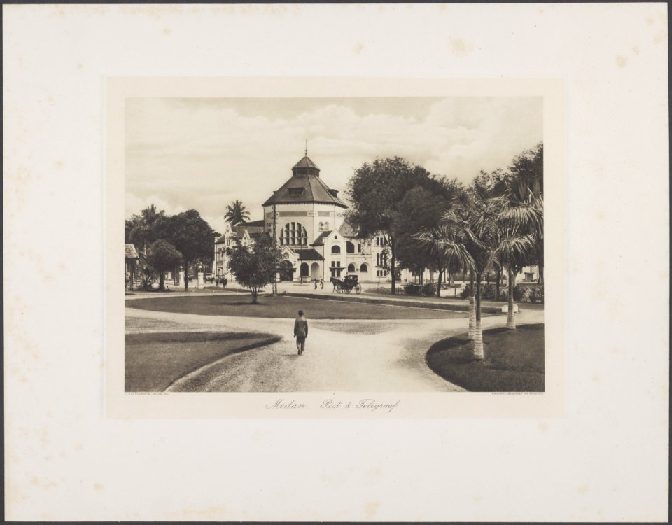 Nieuwe aanplant van 1920 met Ceylon Grass, Bestanddeelnr 804 13