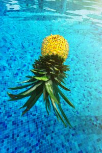 Mexico pineapple pool photo