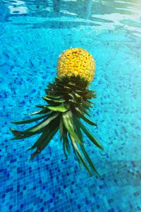 Mexico pineapple pool