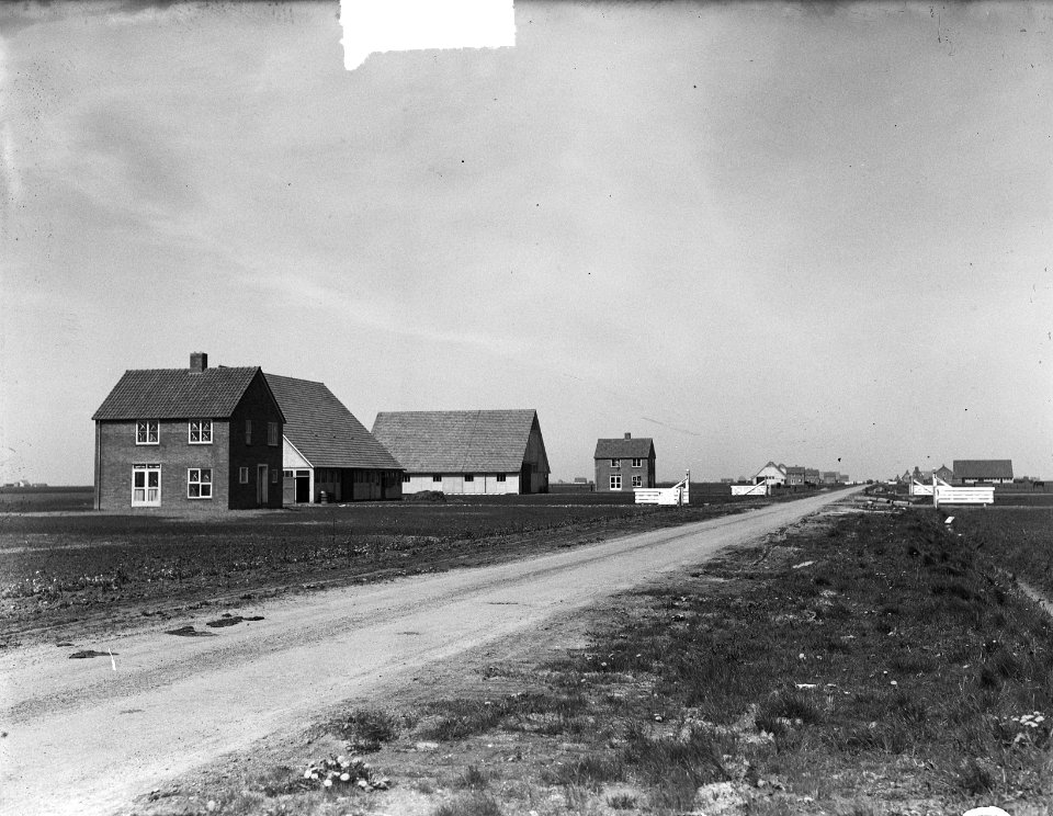 Nieuwe boerderijen in Ens (Noordoostpolder), Bestanddeelnr 903-9520