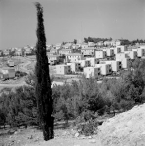 Nieuwbouwwoningen in de vlakte van Jezreel bij Safad (Safed) met op de voorggron, Bestanddeelnr 255-4034 photo