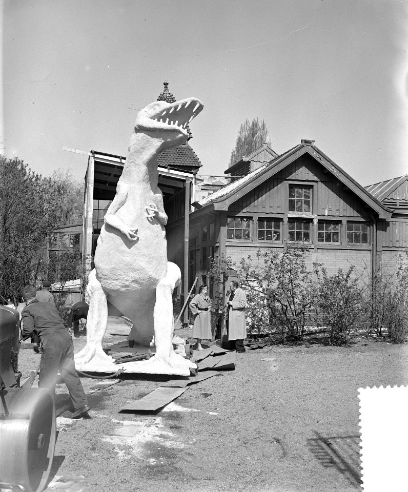 Nieuwe aanwinst voor Artis een tyrannosaurus, Bestanddeelnr 906-4508