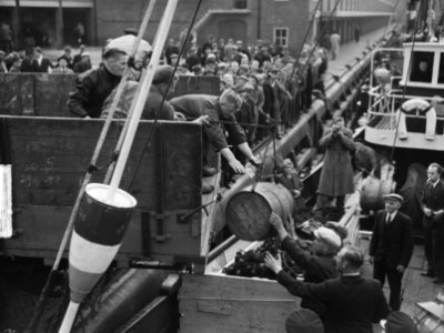 Nieuwe Laning Eerste Logger K227 in IJmuiden, Bestanddeelnr 903-3853