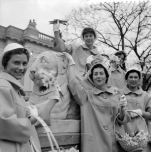 Nieuwe kostuums voor de Haarlemse bloemenmeisjes in 1960 de bloemenmeisjes in hu, Bestanddeelnr 911-0595